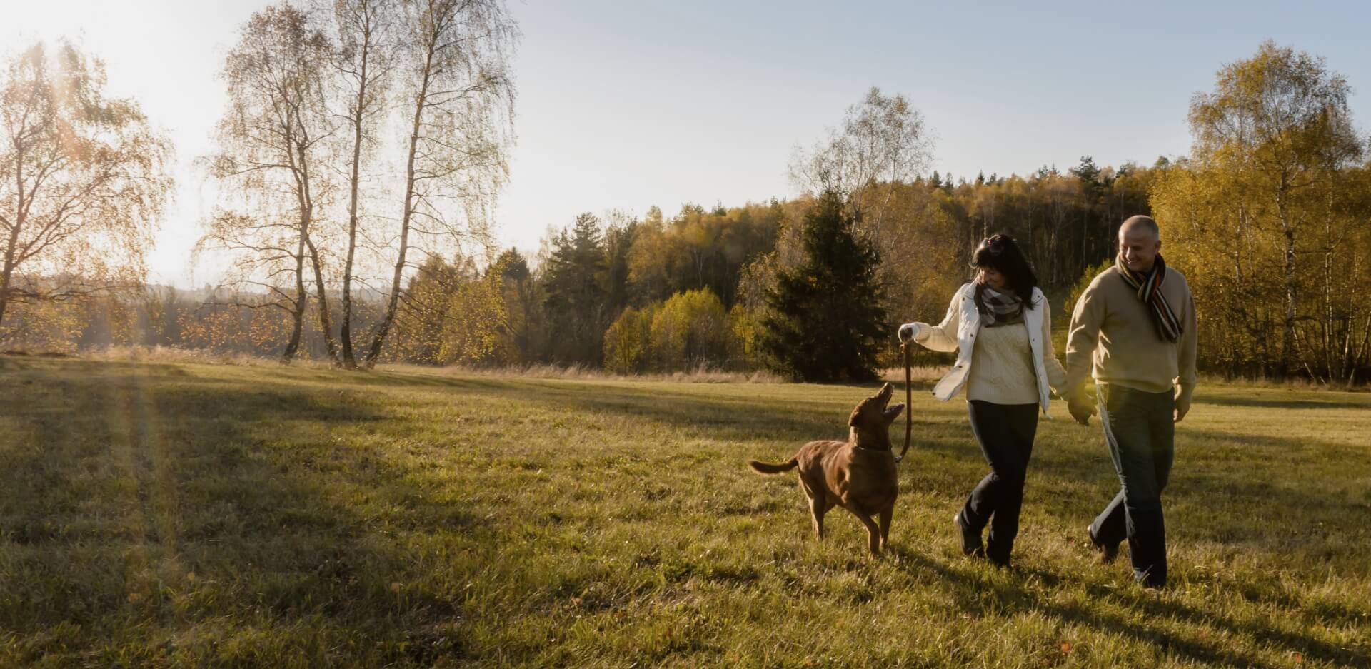 Image showing a couple walking their dog