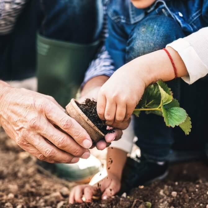 Image showing people planting