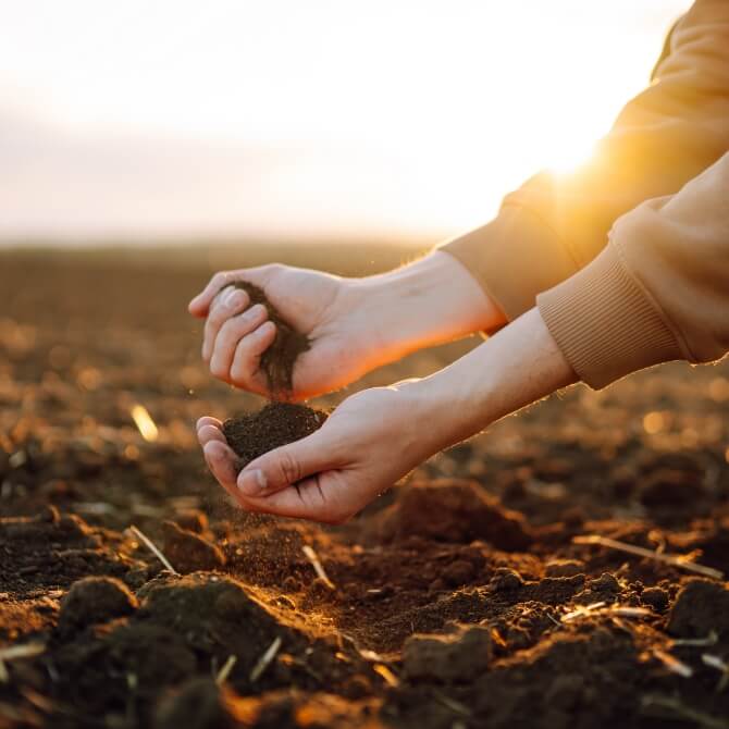 Image showing a close up of someone holding some soil