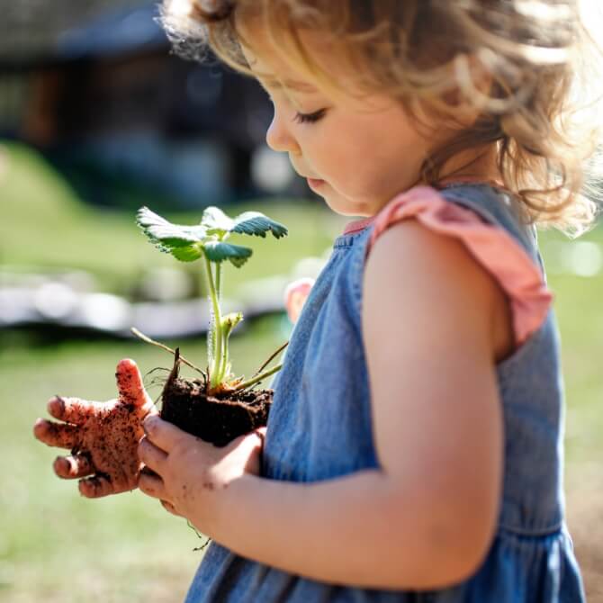 Image showing a little girl holding a plant