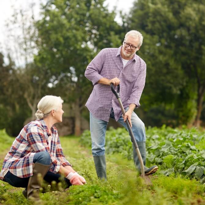 Image showing an older couple gardening