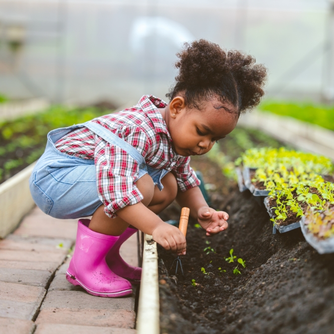 Image showing a little girl gardening