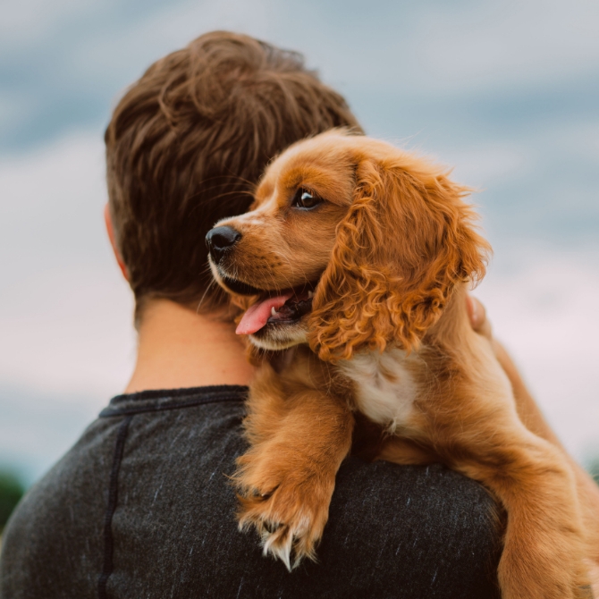 Image showing a man with a dog