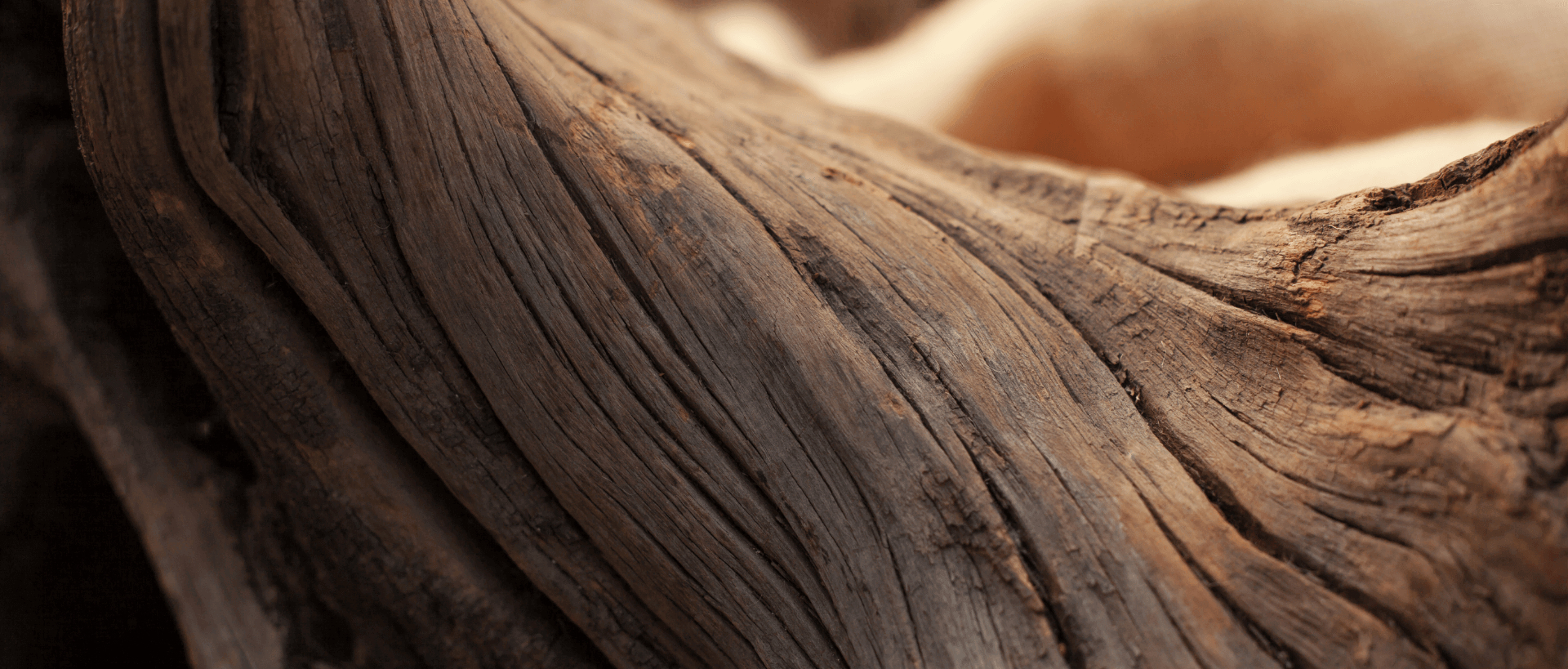 Image showing a close up of some tree bark