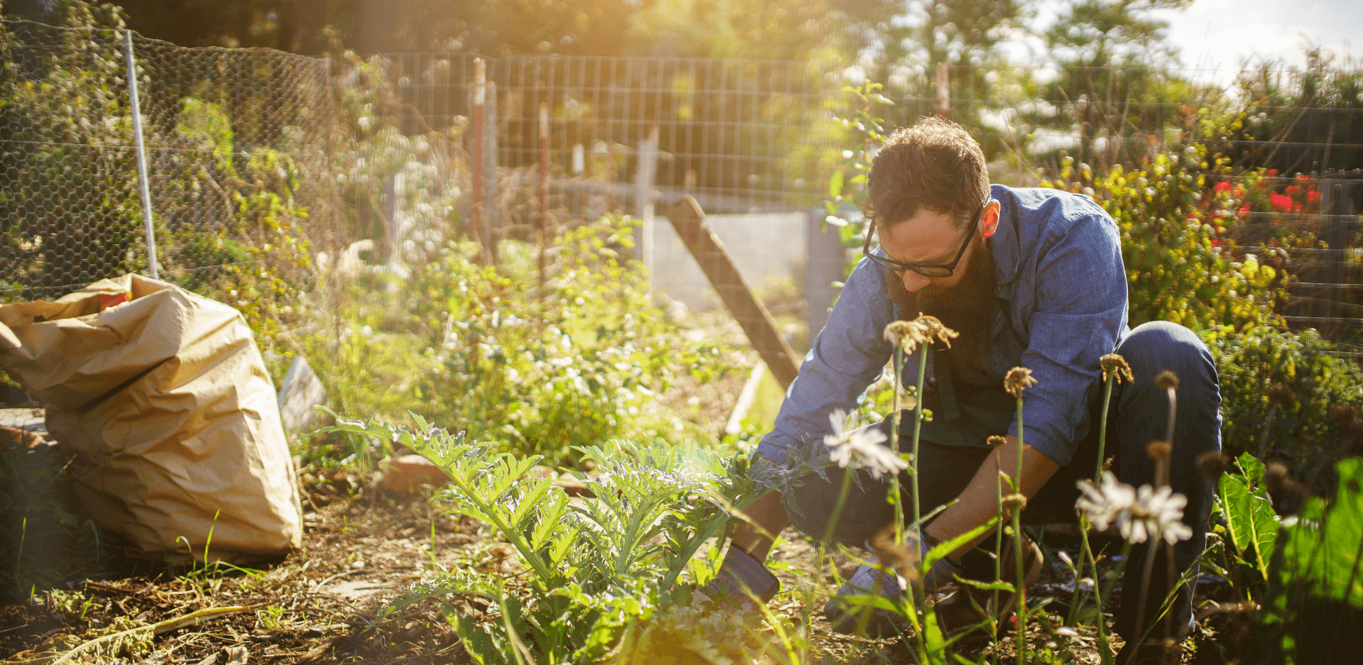 Image showing a man gardening