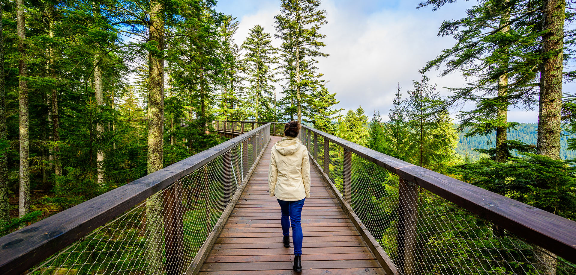 Image showing a woman walking on a bridge in a forest