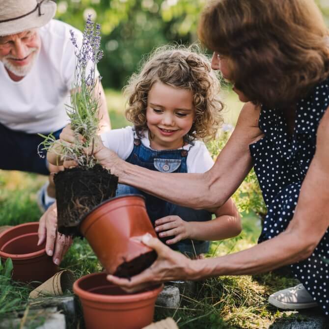 Image showing a little girl planting