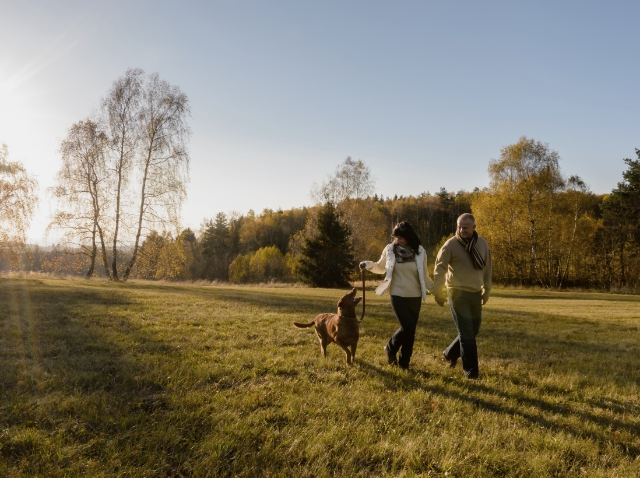 Image showing a couple walking their dog