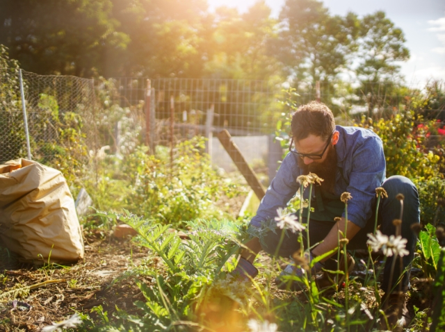 Image showing a man gardening