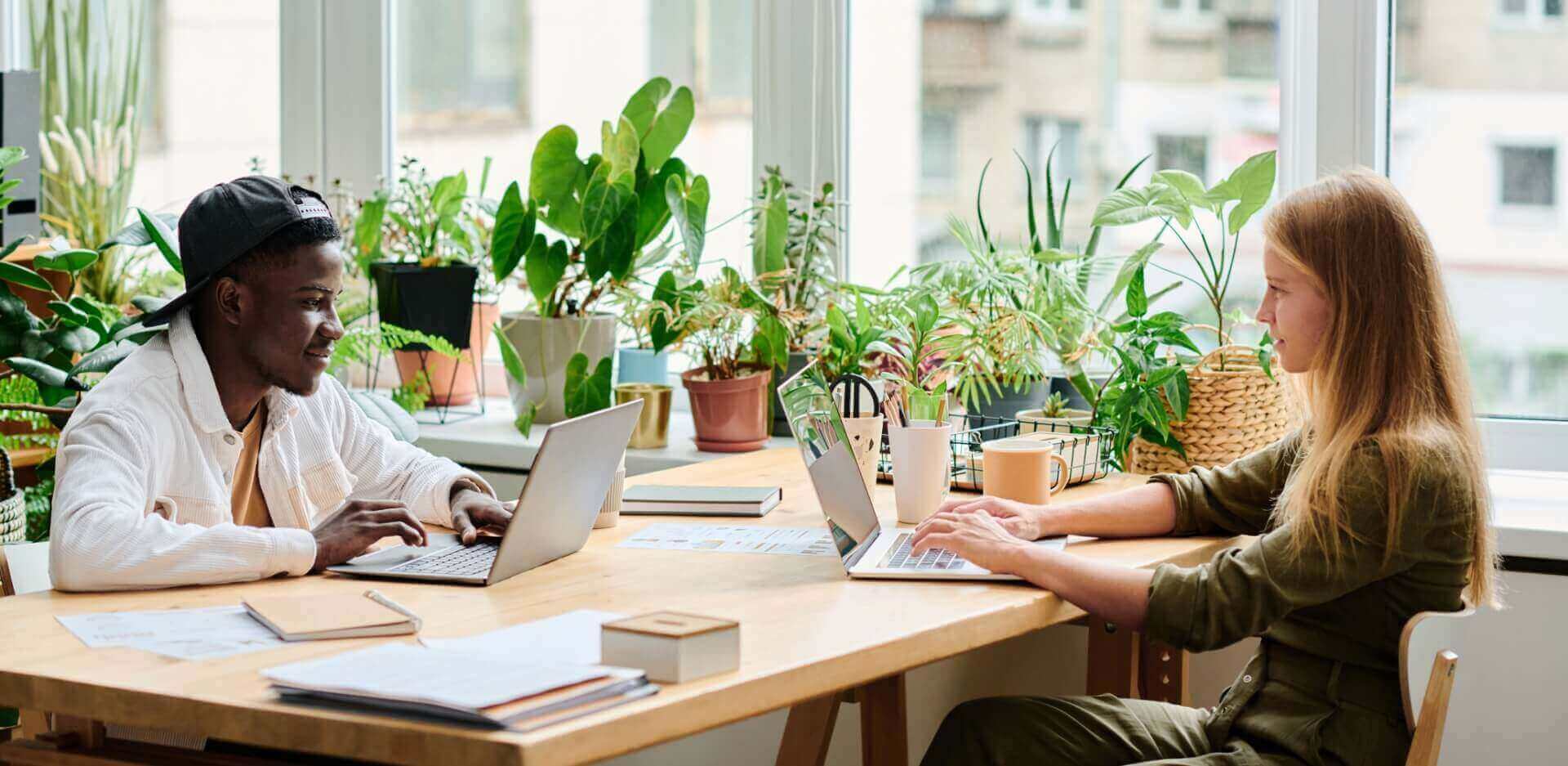 Image showing an office with lots of plants