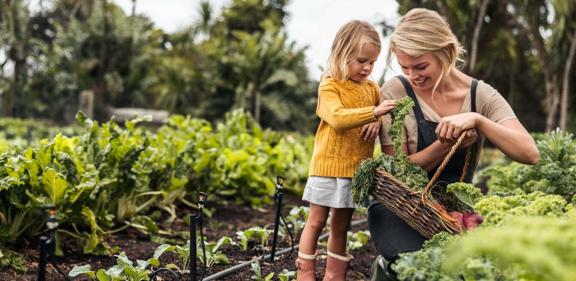 Image showing a mother and daughter picking vegetables