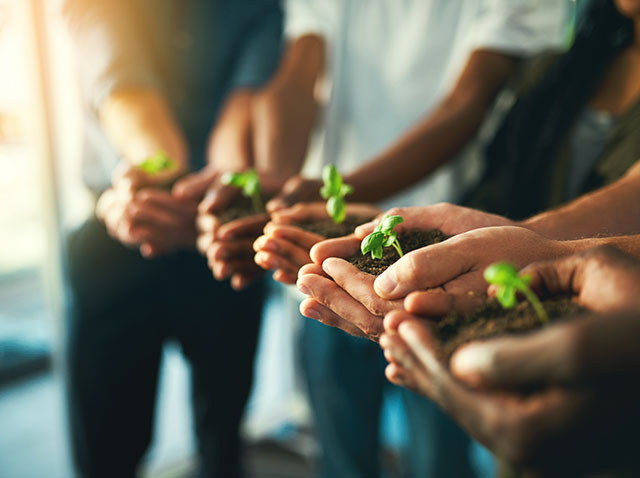 Image showing a close up of hands holding plants