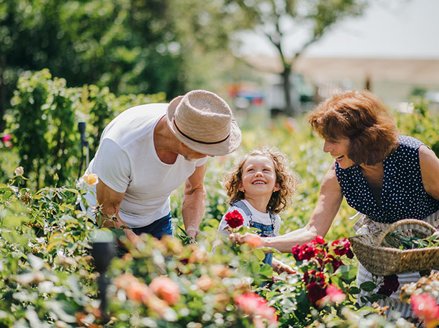 Image showing a couple picking flowers with a little girl