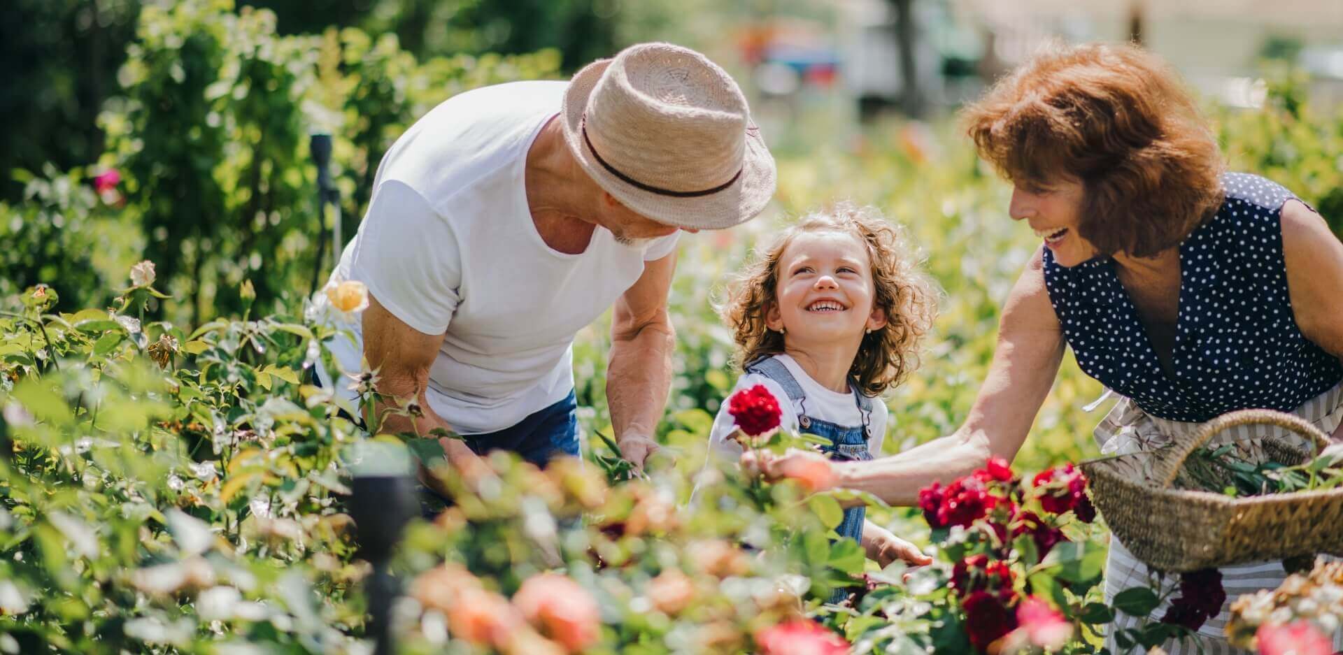 Image showing a couple picking flowers with a little girl