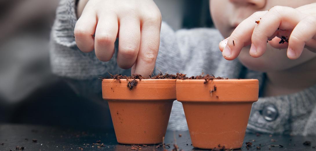 Image showing a close up of child planting