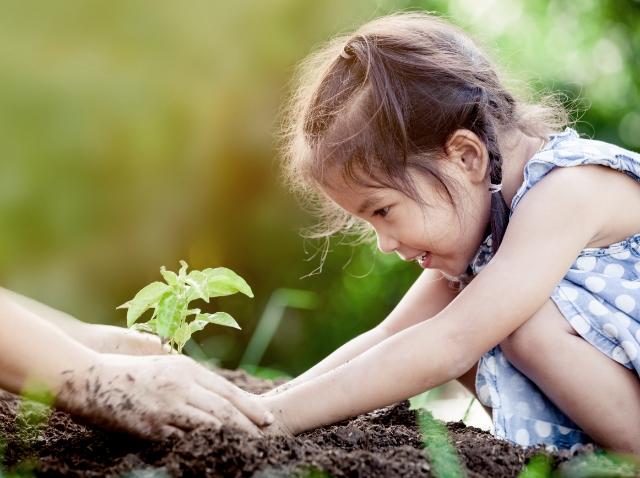 Image showing a little girl planting