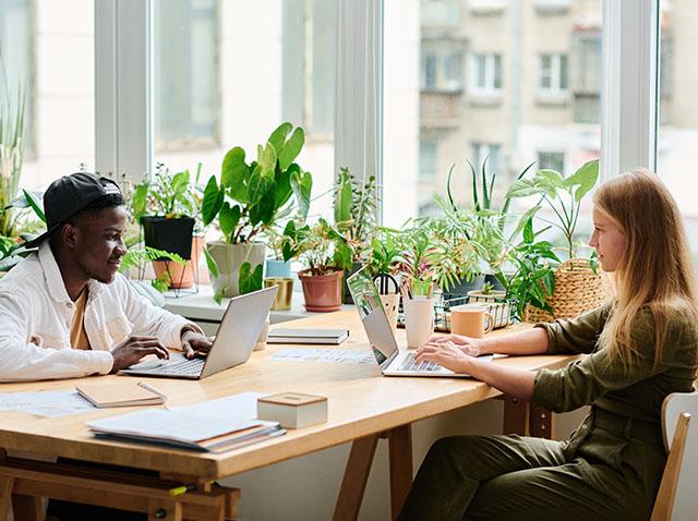 Image showing an office with lots of plants