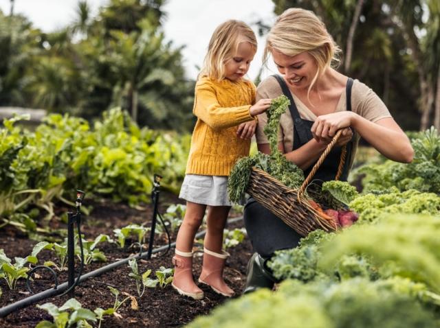 Image showing a mother and daughter picking vegetables